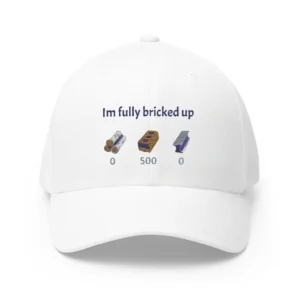 Im fully bricked up hat