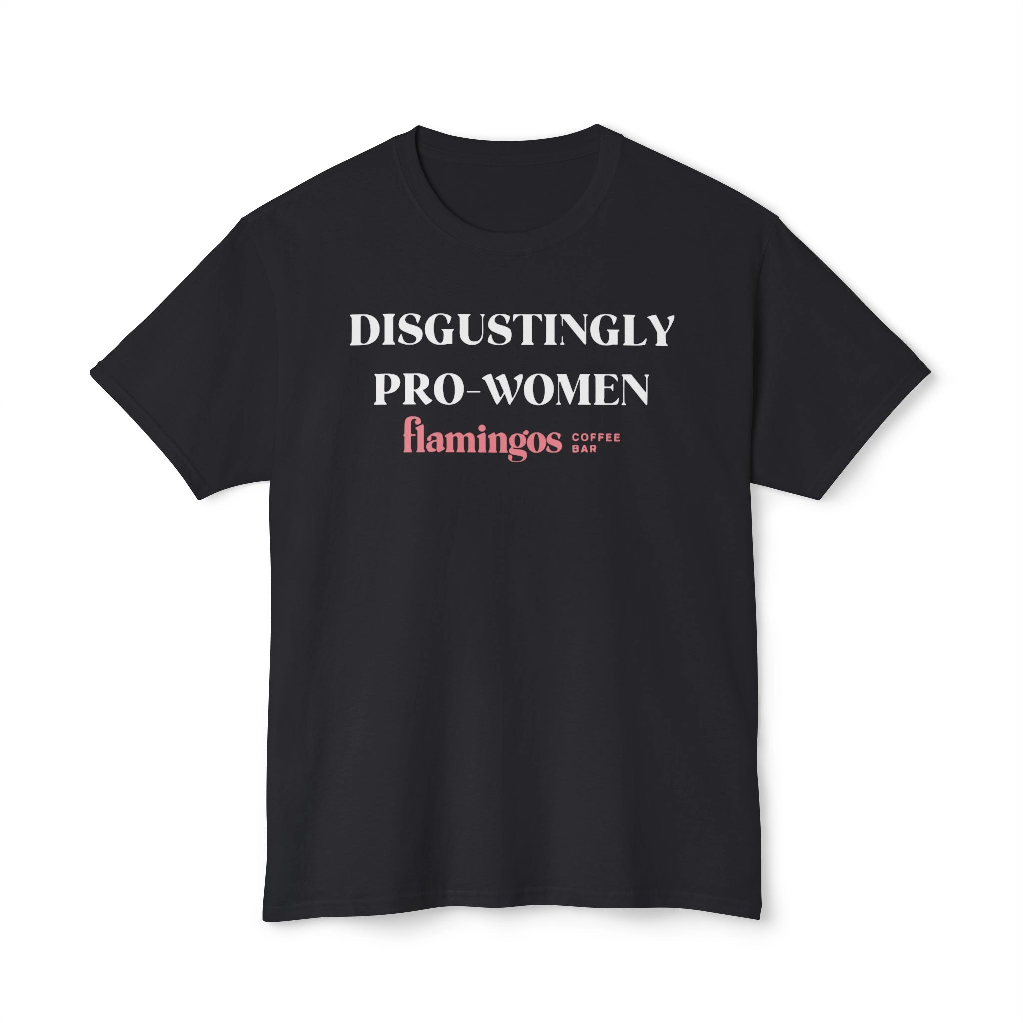 Disgustingly-Pro-Women-t-Shirt Disgustingly Pro-Women T Shirt
