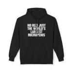 No Rizz Just The World's Largest Micropenis Hoodie