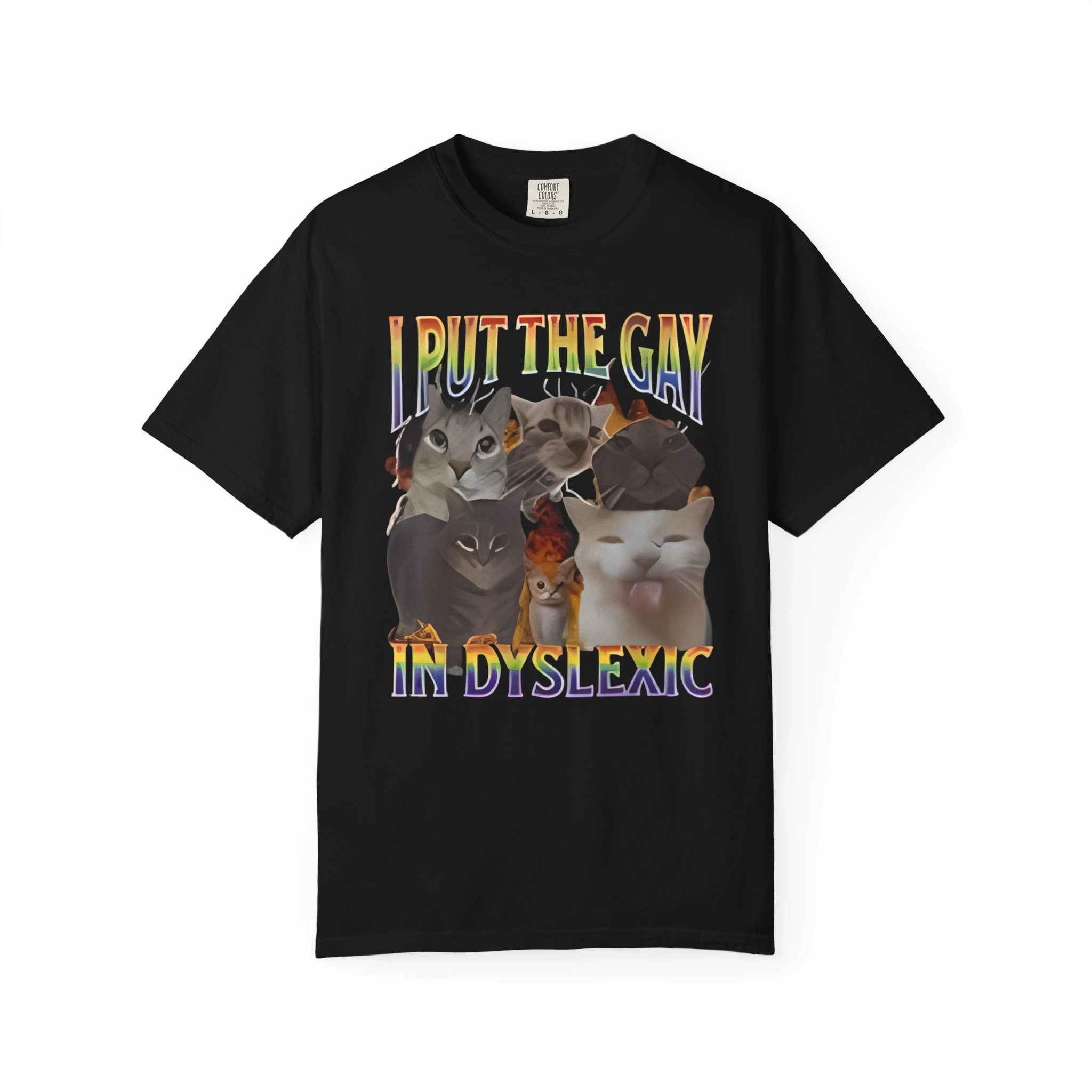 i-put-the-gay-in-dyslexic-megan-meiyok-shirt I Put the Gay in Dyslexic Megan Meiyok Shirt